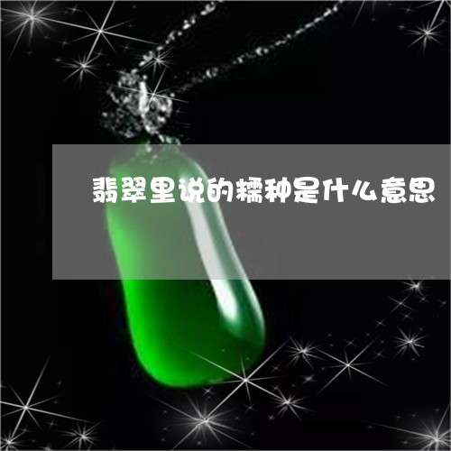 翡翠里说的糯种是什么意思/2023062894937