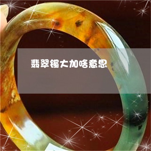 翡翠镯大加啥意思/2023062253823