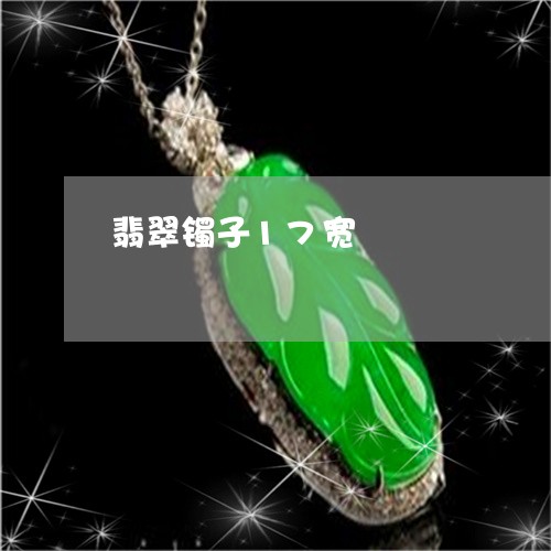 翡翠镯子17宽/2023032383815