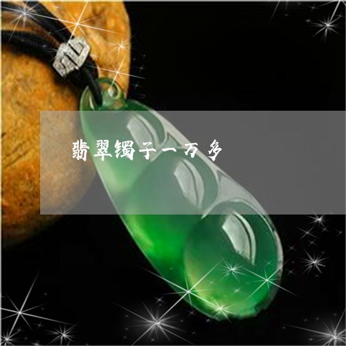 翡翠镯子一万多/2023032383634 翡翠镯子一万多/2023032383634