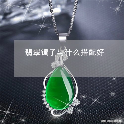 翡翠镯子与什么搭配好/2023061694948