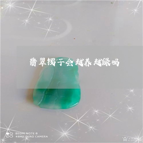 翡翠镯子会越养越绿吗/2023060605027 翡翠镯子会越养越绿吗/2023060605027