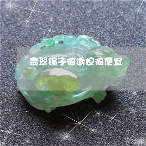 翡翠镯子很透但很便宜/2023060638379 翡翠镯子很透但很便宜/2023060638379
