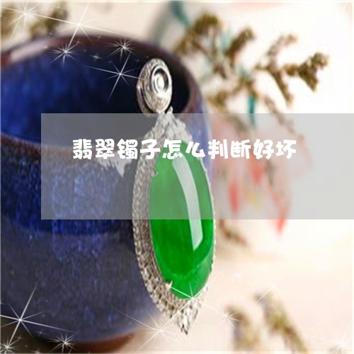 翡翠镯子怎么判断好坏/2023060663068
