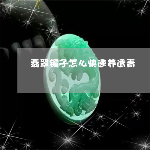 翡翠镯子怎么快速养透青/2023071078049