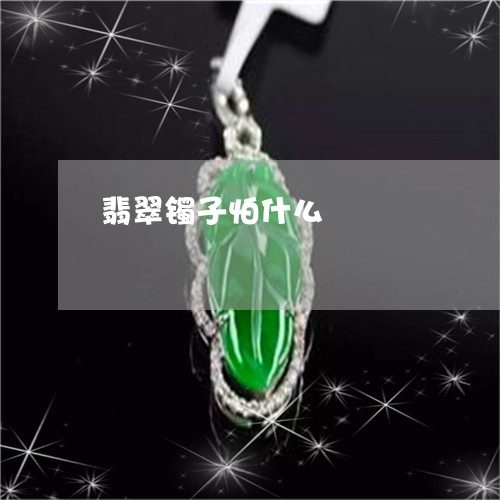 翡翠镯子怕什么/2023032449179