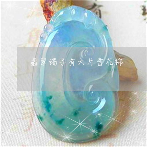 翡翠镯子有大片雪花棉/2023060676172