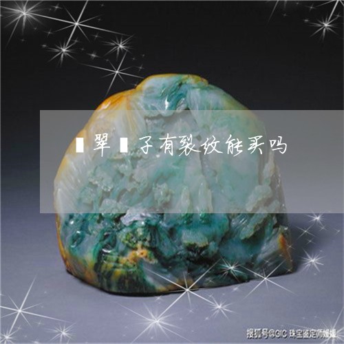 翡翠镯子有裂纹能买吗/2023060618250