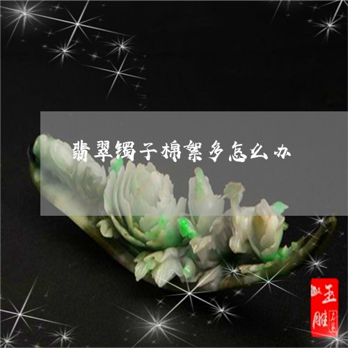 翡翠镯子棉絮多怎么办/2023060635079