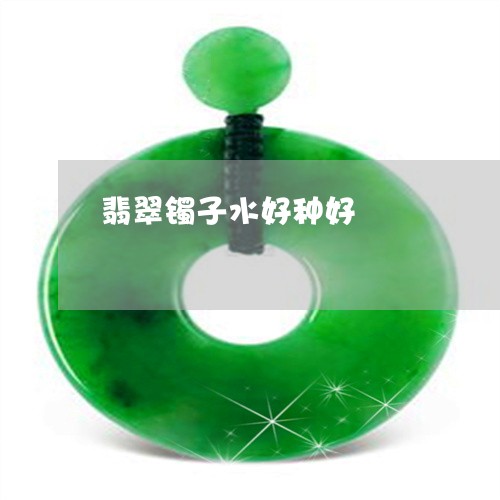 翡翠镯子水好种好/2023030477271