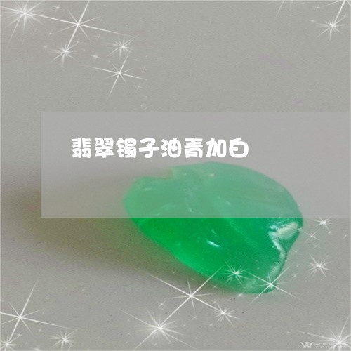翡翠镯子油青加白/2023030441593