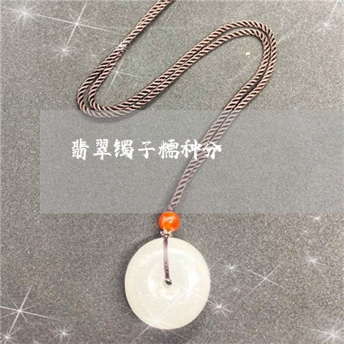 翡翠镯子糯种分/2023032472706 翡翠镯子糯种分/2023032472706