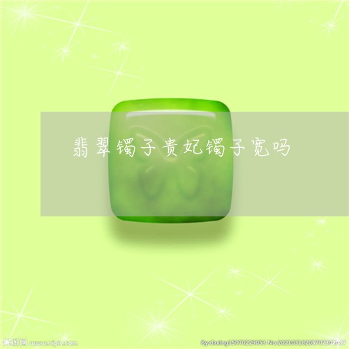 翡翠镯子贵妃镯子宽吗/2023060613847