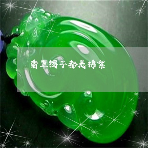 翡翠镯子都是棉絮/2023062127273