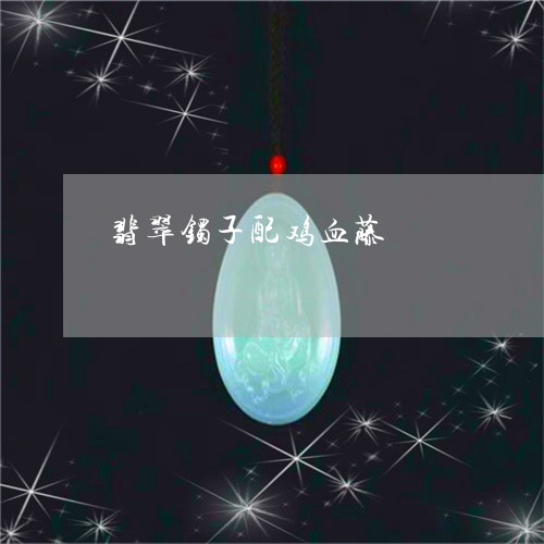 翡翠镯子配鸡血藤/2023030224248 翡翠镯子配鸡血藤/2023030224248
