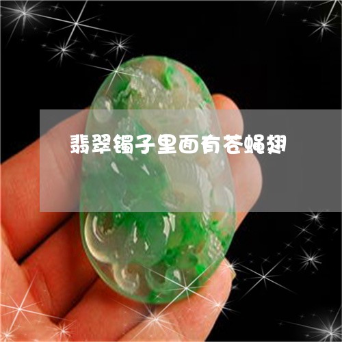 翡翠镯子里面有苍蝇翅/2023060659382