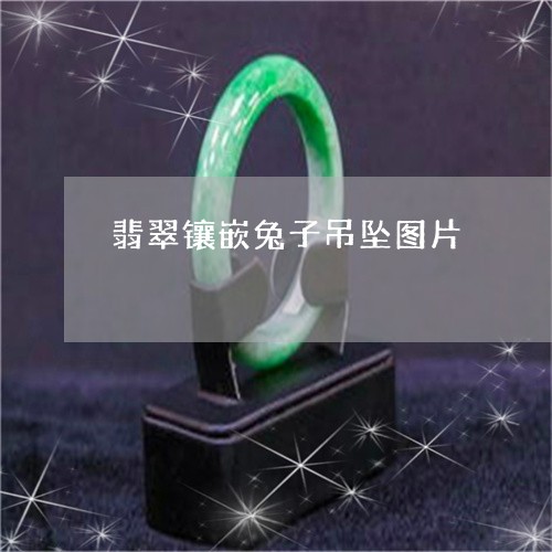 翡翠镶嵌兔子吊坠图片/2023060607272