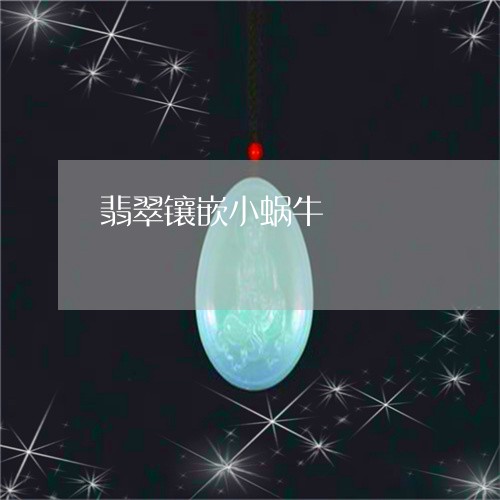 翡翠镶嵌小蜗牛/2023032427048