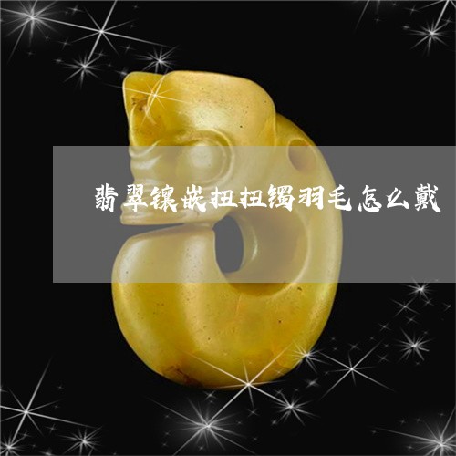 翡翠镶嵌扭扭镯羽毛怎么戴/2023061983836