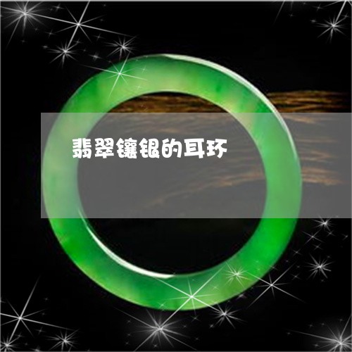 翡翠镶银的耳环/2023032474945