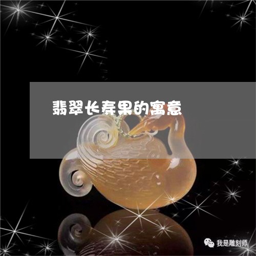 翡翠长寿果的寓意/2023030308391