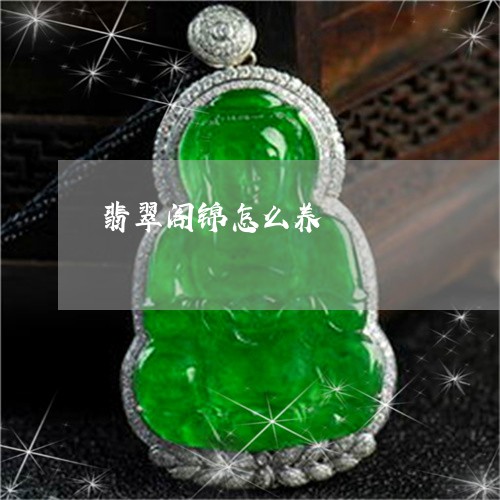 翡翠阁锦怎么养/2023032486036 翡翠阁锦怎么养/2023032486036