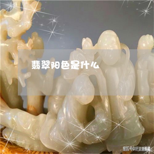 翡翠阳色是什么/2023032419381 翡翠阳色是什么/2023032419381
