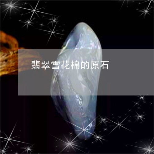 翡翠雪花棉的原石/2023030366149 翡翠雪花棉的原石/2023030366149