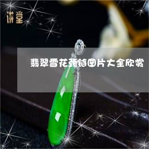 翡翠雪花颈链图片大全欣赏/2023061943947 翡翠雪花颈链图片大全欣赏/2023061943947