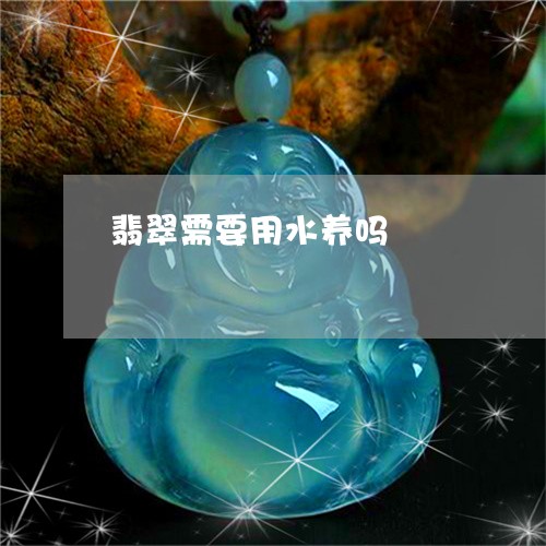 翡翠需要用水养吗/2023062173038