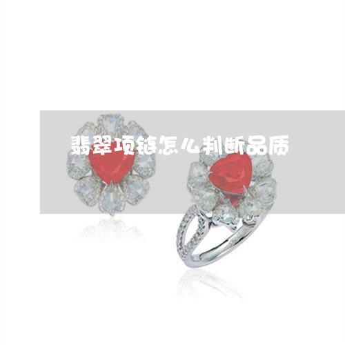 翡翠项链怎么判断品质/2023060661782 翡翠项链怎么判断品质/2023060661782