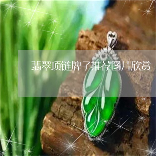 翡翠项链牌子推荐图片欣赏/2023062928040 翡翠项链牌子推荐图片欣赏/2023062928040
