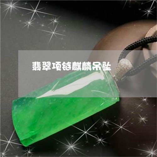 翡翠项链麒麟吊坠/2023062115948