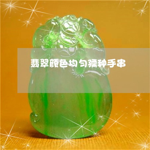 翡翠颜色均匀孺种手串/2023060674060