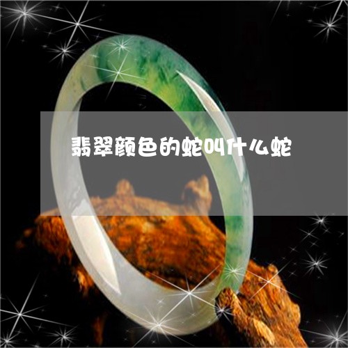 翡翠颜色的蛇叫什么蛇/2023060603137