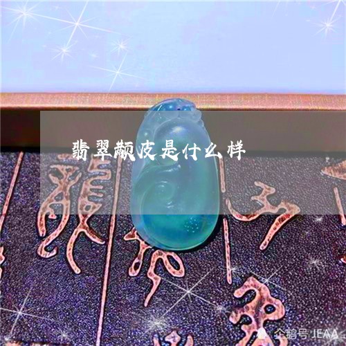 翡翠颟皮是什么样/2023030245059