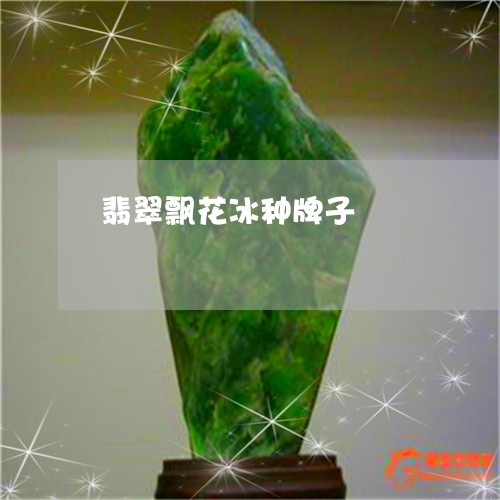 翡翠飘花冰种牌子/2023062083949