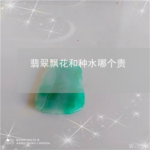 翡翠飘花和种水哪个贵/2023060481592