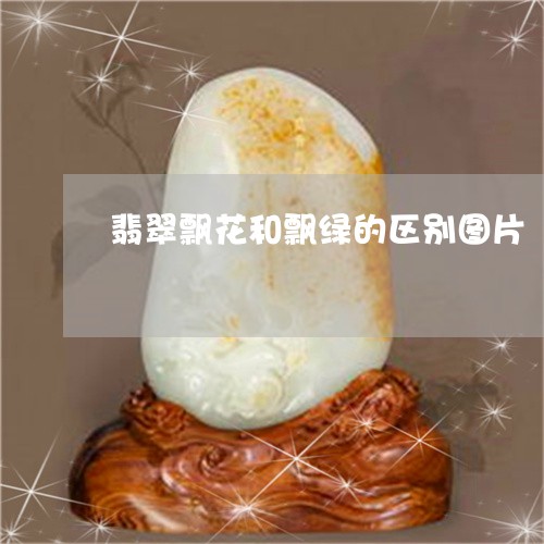 翡翠飘花和飘绿的区别图片/2023071163915