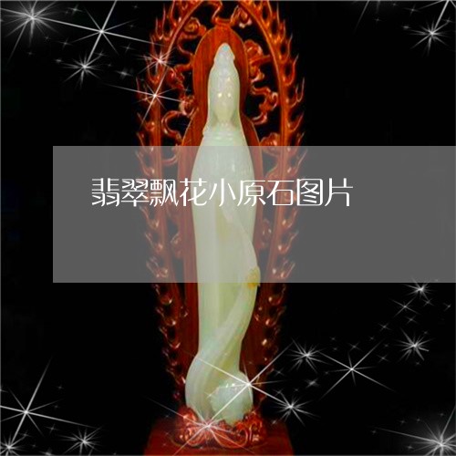 翡翠飘花小原石图片/2023061667037