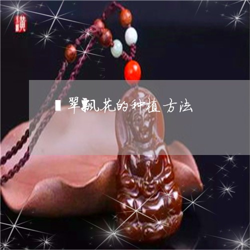 翡翠飘花的种植方法/2023020683716