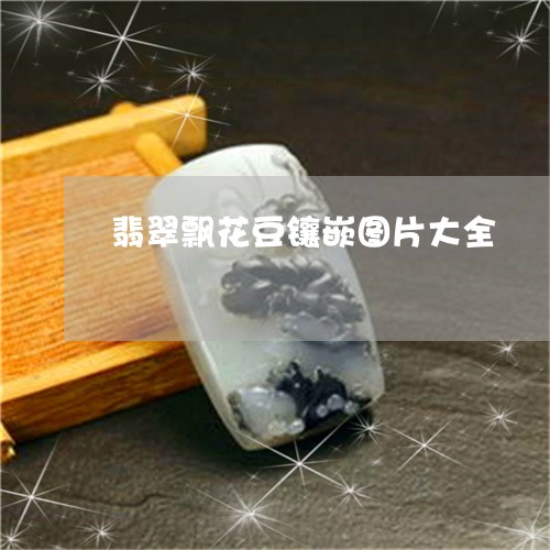 翡翠飘花豆镶嵌图片大全/2023061851572