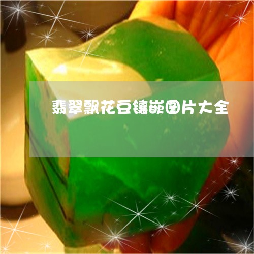翡翠飘花豆镶嵌图片大全/2023061852805