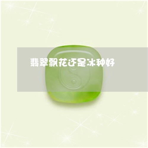 翡翠飘花还是冰种好/2023020683736