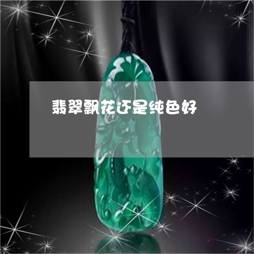 翡翠飘花还是纯色好/2023020671614 翡翠飘花还是纯色好/2023020671614