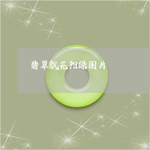 翡翠飘花阳绿图片/2023062088272