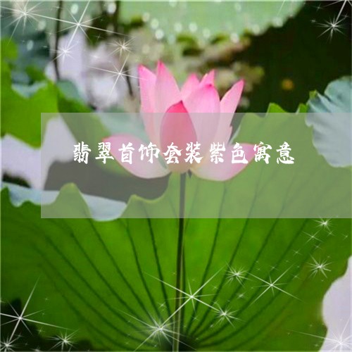 翡翠首饰套装紫色寓意/2023060559592