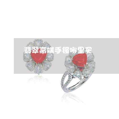 翡翠高端手镯哪里买/2023020685816