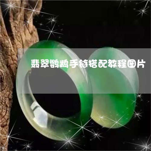 翡翠鹦鹉手链搭配教程图片/2023062850363