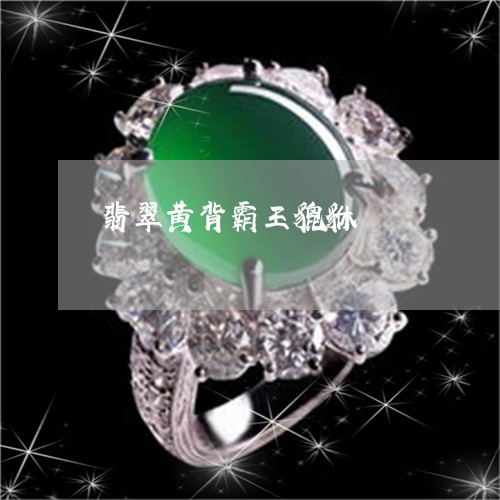 翡翠黄背霸王貔貅/2023062084957 翡翠黄背霸王貔貅/2023062084957